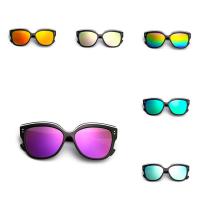 Fashion Sunglasses PC Plastic with Acrylic & for woman Sold By PC