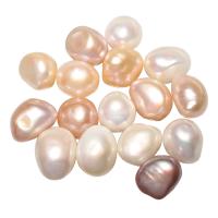 Makeanveden viljeltyjä tumallisissa Helmiäishelmet, Viljellyt makeanveden tumallisissa Pearl, luonnollinen, no reikä, enemmän värejä valinta, 11-12mm, Myymät PC