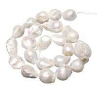 Geperforeerde zoetwater gekweekte parels, Gekweekte Zoetwater genucleëerde Pearl, natuurlijk, wit, 15-17mm, Gat:Ca 0.8mm, Per verkocht Ca 15 inch Strand