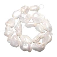 Slatkovodni Kulturan jezgrom Pearl perle, Kulturan Slatkovodni jezgrom Pearl, prirodan, bijel, 17-20mm, Rupa:Približno 0.8mm, Prodano Per Približno 15 inčni Strand