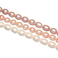 Rice Kulturan Slatkovodni Pearl perle, Riža, prirodan, različite veličine za izbor, više boja za izbor, Rupa:Približno 0.8mm, Prodano Per Približno 15 inčni Strand