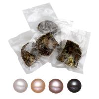 Akoya Cultured Sea Pearl Oyster helmiä, Akoya Viljellyt helmet, Peruna, Satunnainen väri, 7-8mm, 15PC/erä, Myymät erä