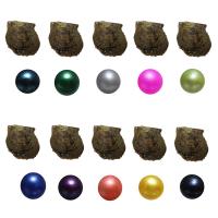 Oyster & Wish Pearl Kit, Perlas Cultivadas de Akoya, Patata, color mixto, 6-7mm, 10PCs/Bolsa, Vendido por Bolsa