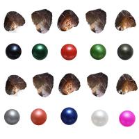 Amor de cultivo de agua dulce Wish Pearl Oyster, Perlas cultivadas de agua dulce, Patata, color mixto, 7-8mm, 10PCs/Grupo, Vendido por Grupo