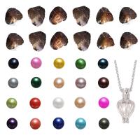 perle d'eau douce cultivée Wish Pearl Oyster, avec laiton, pomme de terre, 10 Wish Pearl Oyster 1 collier & chaîne ovale, Couleur aléatoire, 7-8mm, Longueur Environ 18 pouce, 10PC/lot, Vendu par lot