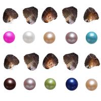 Oyster & Wish Pearl Kit, Perlas cultivadas de agua dulce, Patata, color mixto, 6-7mm, 10PCs/Bolsa, Vendido por Bolsa