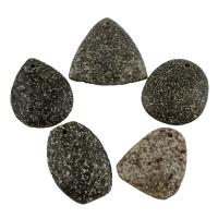 Marine Fossil Pendel, blandet, 36x44x7mm-48x54x7mm, Hole:Ca. 1.5mm, 5pc'er/Bag, Solgt af Bag