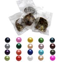 Akoya Cultured Sea Pearl Oyster Beads  Akoya Cultured Pearls Potato mixed colors 7-8mm Sold By Bag