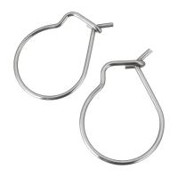 Stainless Steel Hook slangetje, Roestvrij staal, oorspronkelijke kleur, 13x18x2.50mm, 1000pC's/Lot, Verkocht door Lot