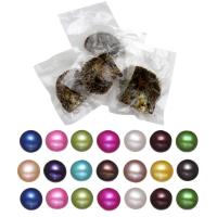 Oyster & Wish Pearl Kit, Akoya Zuchtperlen, Kartoffel, gemischte Farben, 6-8mm, 30PCs/Tasche, verkauft von Tasche