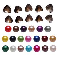 Freshwater Cultured Love Wish Pearl Oyster Freshwater Pearl Potato mixed colors 7-8mm Sold By Lot