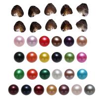 Makeanveden viljelty Love Wish Pearl Oyster, Makeanveden helmen, Peruna, sekavärit, 7-8mm, 25PC/erä, Myymät erä