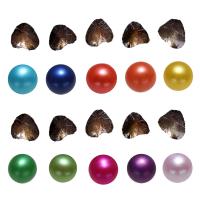 Freshwater Cultured Love Wish Pearl Oyster Freshwater Pearl Potato mixed colors 7-8mm Sold By Lot