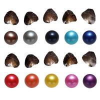 Freshwater Cultured Love Wish Pearl Oyster Freshwater Pearl Potato mixed colors 7-8mm Sold By Lot