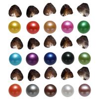 Freshwater Cultured Love Wish Pearl Oyster Freshwater Pearl Potato mixed colors 7-8mm Sold By Lot