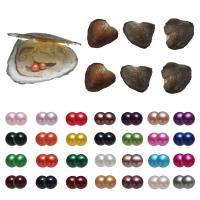 Ústřice & Wish Pearl Kit, Sladkovodní Pearl, Brambor, Dvojčata si přejí perleťovou ústřici, více barev na výběr, 7-8mm, Prodáno By PC