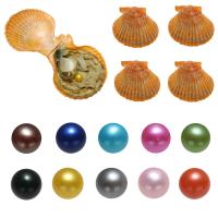 Akoya Cultured Sea Pearl Oyster Beads  Akoya Cultured Pearls Potato mixed colors 7-8mm Sold By Bag