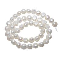 Barokna Kulturan Slatkovodni Pearl perle, prirodan, bijel, 10-11mm, Rupa:Približno 0.8mm, Prodano Per Približno 15.5 inčni Strand