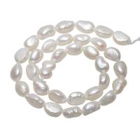 Barok Gekweekte Zoetwater Parel kralen, natuurlijk, wit, 9-10mm, Gat:Ca 0.8mm, Per verkocht Ca 15.5 inch Strand