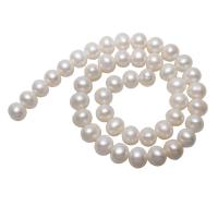 Perles nacres pommes de terre de culture d'eau douce, perle d'eau douce cultivée, pomme de terre, naturel, blanc, 10-11mm, Trou:Environ 0.8mm, Vendu par Environ 15.5 pouce brin