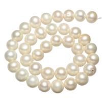 Grânulos de pérolas  cultivadas de água doce de forma redomda., Pérolas de água doce, Roda, naturais, branco, 11-12mm, Buraco:Aprox 0.8mm, vendido para Aprox 15.7 inchaltura Strand