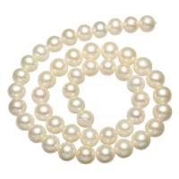 Grânulos de pérolas  cultivadas de água doce de forma redomda., Pérolas de água doce, Roda, naturais, branco, Grade AAA, 9-10mm, Buraco:Aprox 0.8mm, vendido para Aprox 15 inchaltura Strand