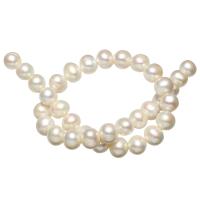 Grânulos pérolas cultivads de água doce, Pérolas de água doce, Batata, naturais, branco, Grade AAA, 12-13mm, Buraco:Aprox 0.8mm, vendido para Aprox 15.7 inchaltura Strand