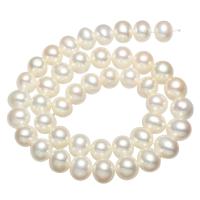 Grânulos de pérolas  cultivadas de água doce de forma redomda., Pérolas de água doce, Roda, naturais, branco, 10-11mm, Buraco:Aprox 0.8mm, vendido para Aprox 15.7 inchaltura Strand