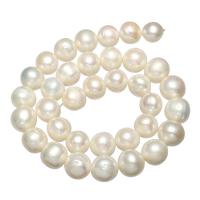 Grânulos pérolas cultivads de água doce, Pérolas de água doce, Batata, naturais, branco, 12-13mm, Buraco:Aprox 0.8mm, vendido para Aprox 15.3 inchaltura Strand