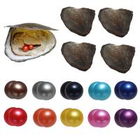 Oyster & Wish Pearl Kit, perla d'acquadolce coltivata naturalmente, Patata, I gemelli desiderano l'ostrica di perla, colori misti, 7-8mm, 10PC/borsa, Venduto da borsa