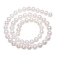 Turno coltivate in acqua dolce Perla, perla d'acquadolce coltivata naturalmente, Cerchio, naturale, bianco, Grade AA, 7-8mm, Foro:Appross. 0.8mm, Venduto per Appross. 15 pollice filo