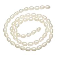 Ris odlad sötvattenspärla pärlor, Freshwater Pearl, naturlig, vit, 4-5mm, Hål:Ca 0.8mm, Såld Per Ca 15 inch Strand