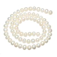 Ronde Gekweekte Zoetwater Parel kralen, natuurlijk, wit, Grade AA, 5-6mm, Gat:Ca 0.8mm, Per verkocht Ca 15.5 inch Strand