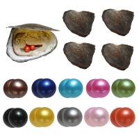 Ústřice & Wish Pearl Kit, Sladkovodní Pearl, Brambor, Dvojčata si přejí perleťovou ústřici, smíšené barvy, 7-8mm, 10PC/Bag, Prodáno By Bag