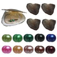 Kit de Pérolas ostras e desejos, Pérolas de água doce, Batata, Gêmeos desejam ostra pérola, cores misturadas, 7-8mm, 10PCs/Bag, vendido por Bag