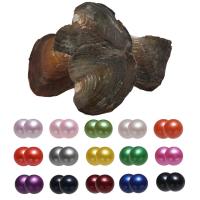 Oyster & Wish Pearl Kit, perla d'acquadolce coltivata naturalmente, Patata, I gemelli desiderano l'ostrica di perla, colori misti, 7-8mm, 15PC/borsa, Venduto da borsa