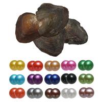 Oyster & Wish Pearl Kit, Natürliche kultivierte Süßwasserperlen, Kartoffel, Zwillinge Wunsch Perle Oyster, gemischte Farben, 7-8mm, 15PCs/Tasche, verkauft von Tasche