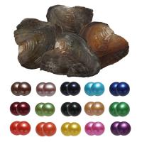 Kit de Pérolas ostras e desejos, Pérolas de água doce, Batata, Gêmeos desejam ostra pérola, cores misturadas, 7-8mm, 15PCs/Bag, vendido por Bag