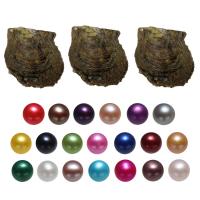 Akoya Cultured Sea Pearl Oyster Beads  Akoya Cultured Pearls Potato mixed colors 7-8mm Sold By Bag