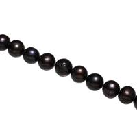 Runda odlad sötvattenspärla pärlor, Freshwater Pearl, naturlig, vit, 11-12mm, Hål:Ca 0.8mm, Såld Per Ca 15.3 inch Strand