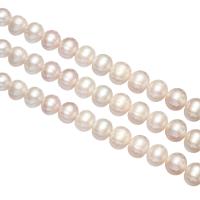 Runda odlad sötvattenspärla pärlor, Freshwater Pearl, naturlig, purpur, Grade A, 10-11mm, Hål:Ca 0.8mm, Såld Per Ca 15.5 inch Strand