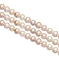 Prátaí Saothraithe coirníní Péarla Fionnuisce, Pearl Fionnuisce, nádúrtha, corcra, 10-11mm, Poll:Thart 0.8mm, Díolta Per Thart 16 Inse Snáithe