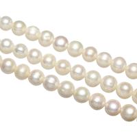 Barokní kultivované sladkovodní perle, Sladkovodní Pearl, přírodní, různé styly pro výběr, bílý, 10-11mm, Otvor:Cca 0.8mm, Prodáno za Cca 14.3 inch, Cca 15 inch Strand