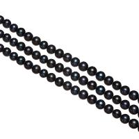 Kartoffel ferskvandskulturperle Beads, Ferskvandsperle, sort, 7-8mm, Hole:Ca. 0.8mm, Solgt Per Ca. 15 inch Strand