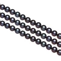 Runda odlad sötvattenspärla pärlor, Freshwater Pearl, svart, Grade AAA, 8-9mm, Hål:Ca 0.8mm, Såld Per Ca 16 inch Strand