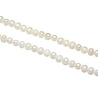 Kulaté kultivované sladkovodní perle, Sladkovodní Pearl, Kolo, přírodní, různé délky pro volbu, bílý, 5-6mm, Prodáno By Strand