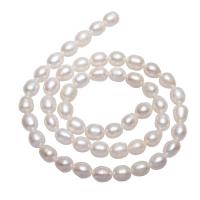 Rice Kulturan Slatkovodni Pearl perle, Riža, prirodan, bijel, 6-7mm, Rupa:Približno 0.8mm, Prodano Per Približno 14.5 inčni Strand