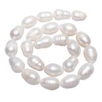 Perla Barroca Freshwater, Perlas cultivadas de agua dulce, Pepitas, natural, Blanco, 10-11mm, agujero:aproximado 0.8mm, Vendido para aproximado 15.5 Inch Sarta