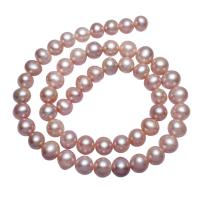 Krumpir Kulturan Slatkovodni Pearl perle, prirodan, ljubičasta boja, 8-9mm, Rupa:Približno 0.8mm, Prodano Per Približno 15.3 inčni Strand