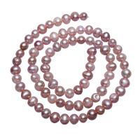 Kartoffel ferskvandskulturperle Beads, Ferskvandsperle, naturlig, lilla, 5-6mm, Hole:Ca. 0.8mm, Solgt Per Ca. 15.5 inch Strand